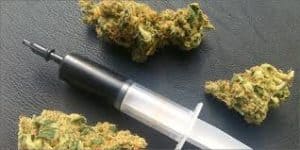 Rick Simpson Oil / Cannabis Oil