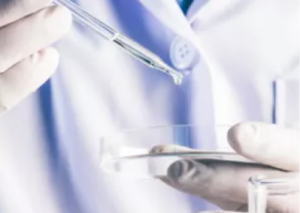 Dendritic Cell vaccine is completely customized to each person