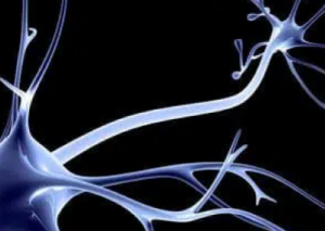Dendritic Cell vaccine is completely customized to each person
